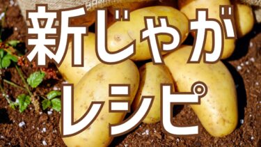 【今だけ美味しい素材】新じゃがを使った最強レシピランキング【常時更新】